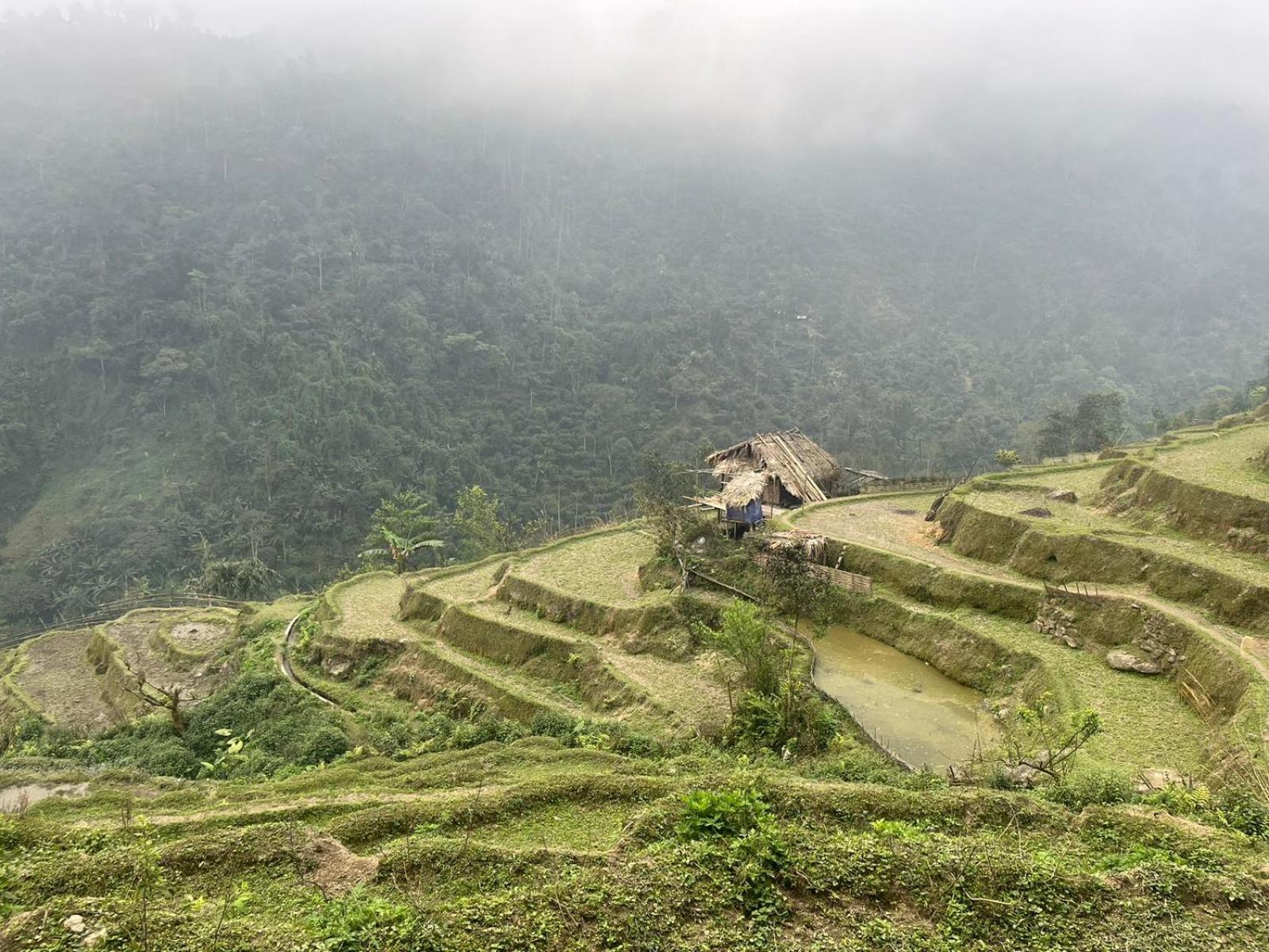 Bikki'S Jungle Homestay Ha Giang Exterior photo