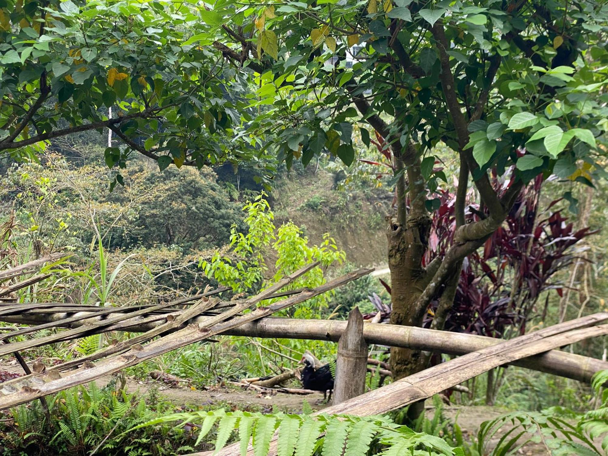 Bikki'S Jungle Homestay Ha Giang Exterior photo